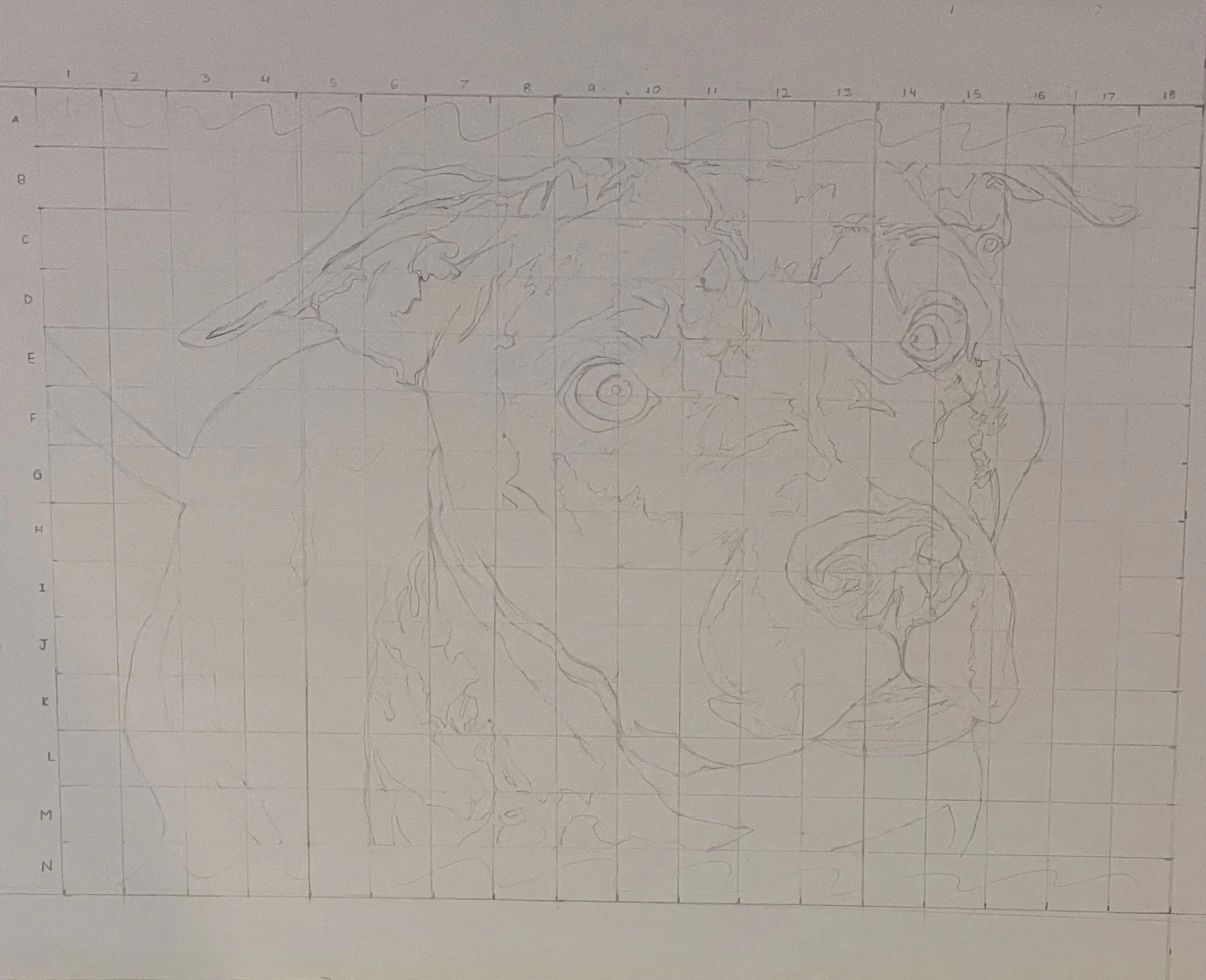 Huge sheet of paper with measured squares to lay outlines for my dog art project.