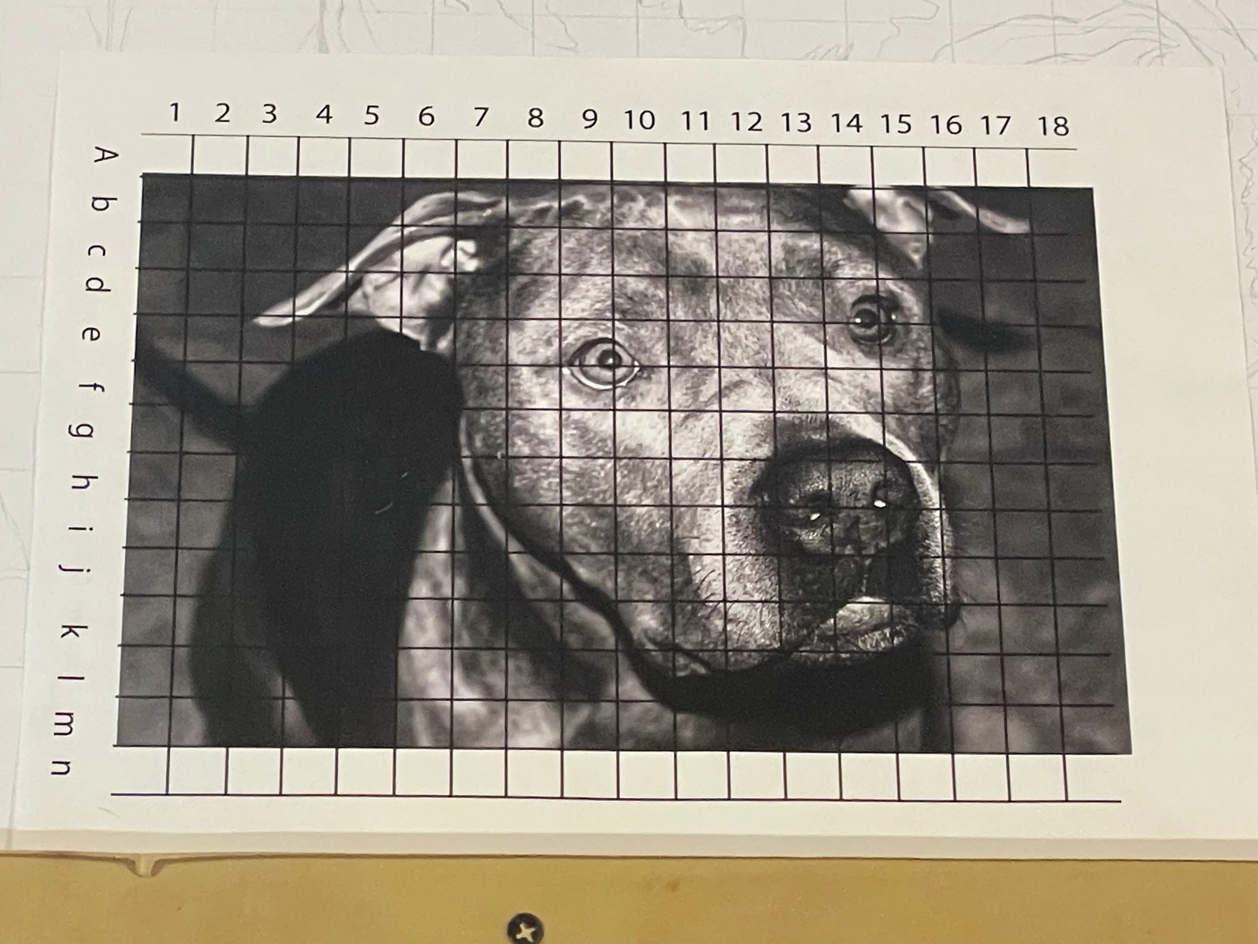 Project based on a picture of one's pet. This one is my late pitty, Luxx.