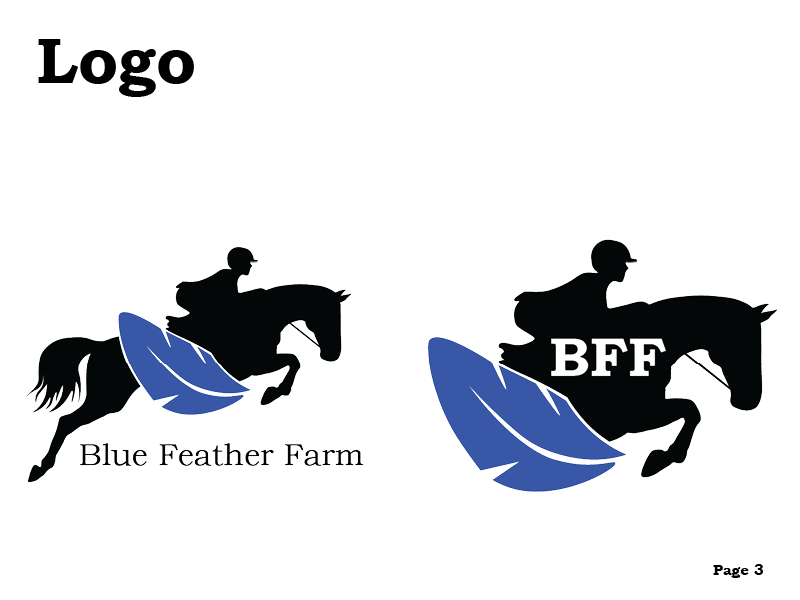 BFF Brand Guide3.png