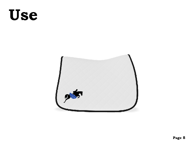 BFF Brand Guide8.png