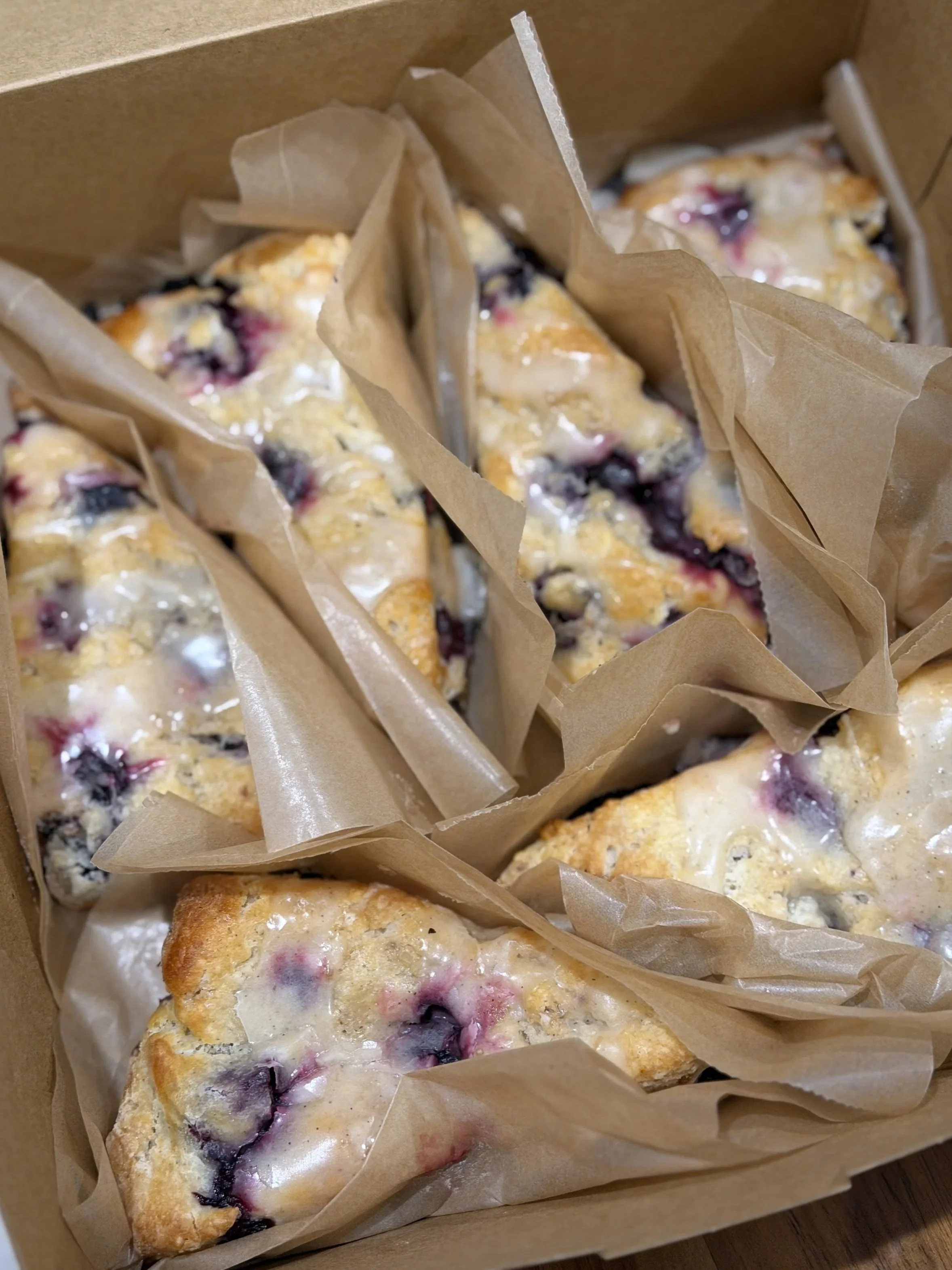 Fresh blueberry-lemon scones at The Common Crumb bakery. In a cardboard bakery box, lined with parchment paper.