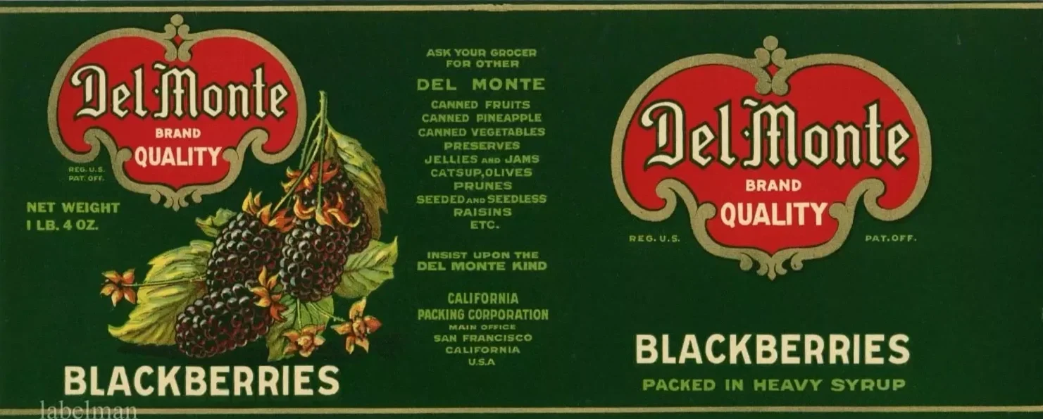Del+Monte+blackberries.webp