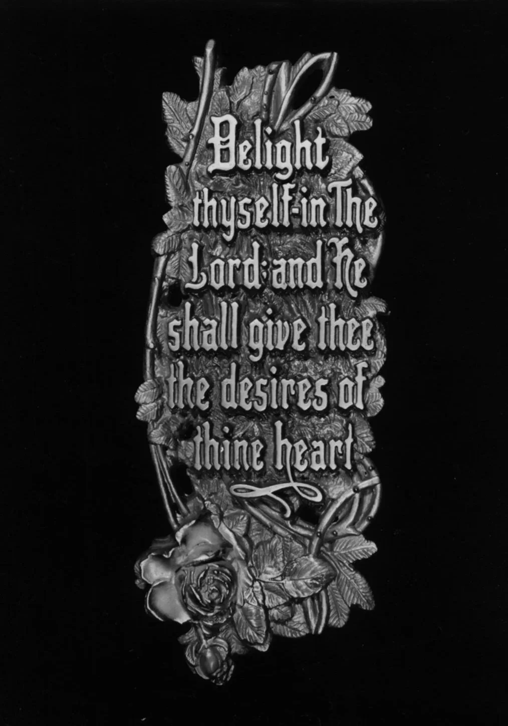 "Delight thyself in the Lord..." A B&W photo taken by Andrew's son Bryant. All of the B&W photos in this gallery were taken by him.