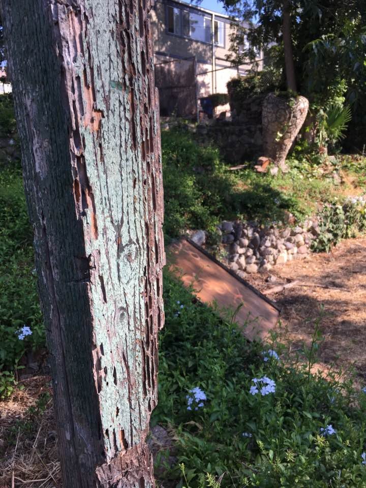 A view from the old children's sandbox in the Go-Ye Prayer Garden...only one pice of wood frame is left of the sandbox. 