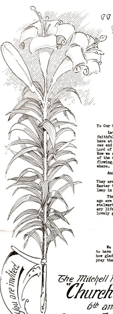 Illustration for a newsletter