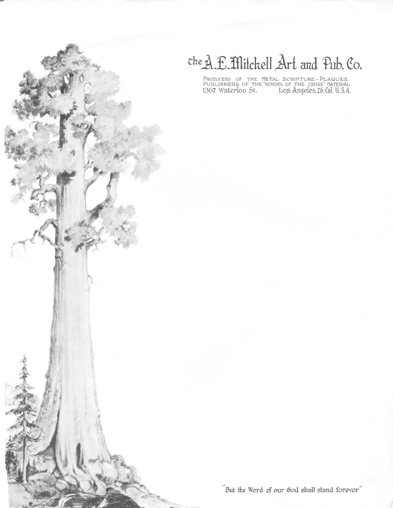 Sequoia tree letterhead
