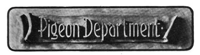 Section heading, carved in clay and photographed for Pacific Fancier magazine, 1905