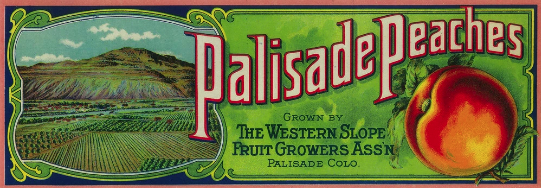 Palisade Peaches label - still available today on mugs, t-shirts, etc. 