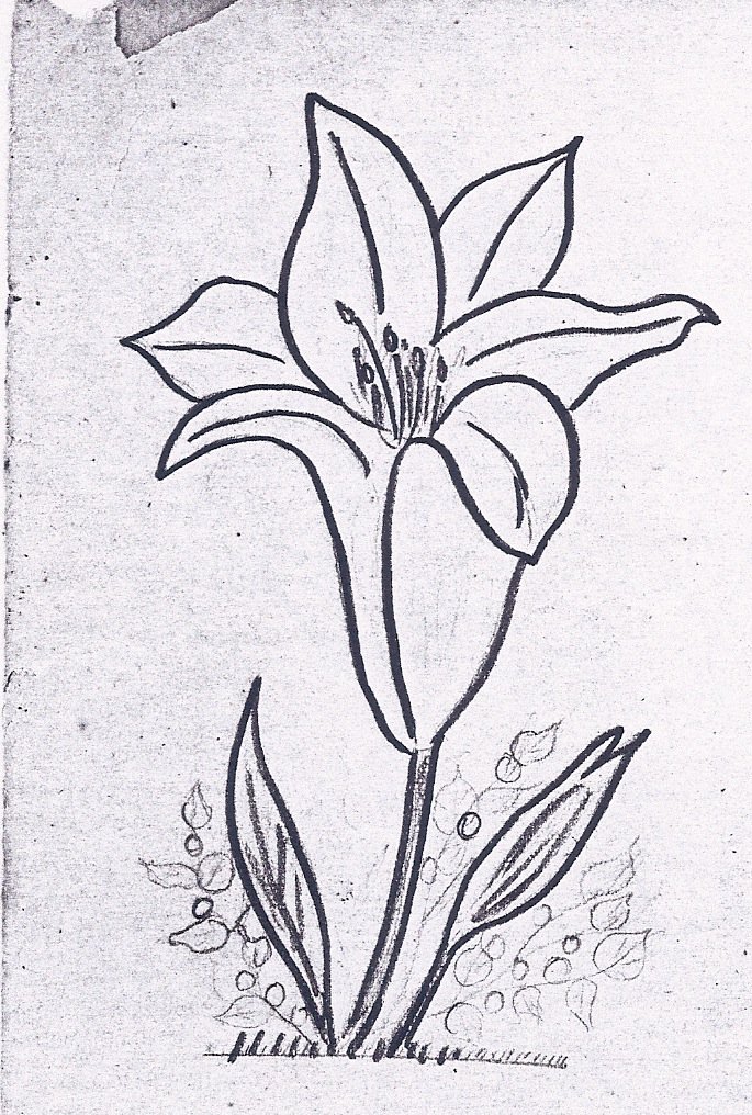 Andrew drew this lily as a child. It may be the earliest drawing we have, and this lily design appears on the sides of the Victory Vase he created in 1941.