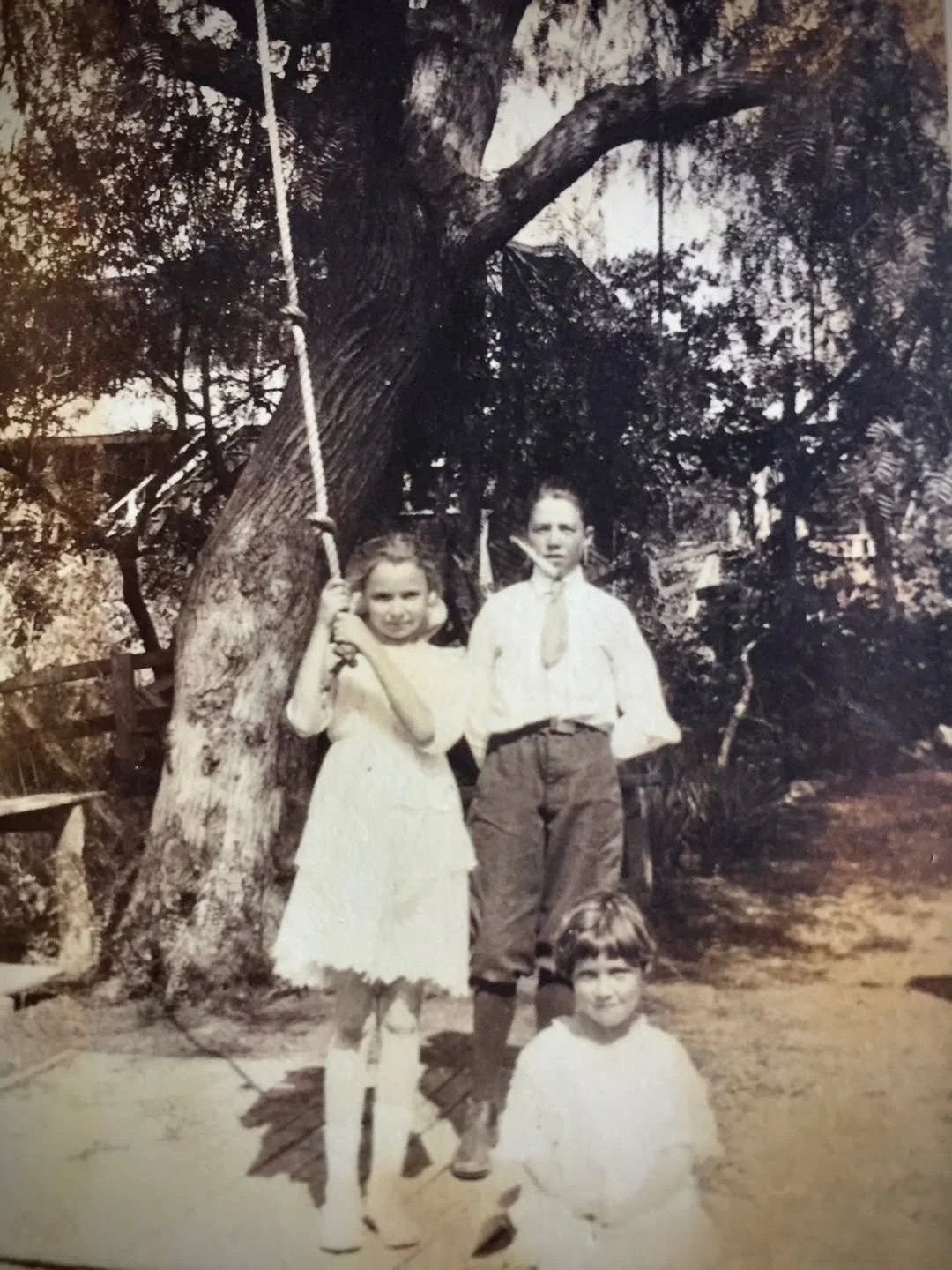 A.E. Mitchell's children Hubert, Helen and Jean  in the early 1920s at the pepper tree swing near where the Victory Vase stood later starting in 1941. There are two large pepper trees where the Victory Vase will be installed at Biola. 
