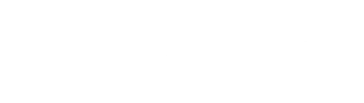 New Zealand Labour Party logo
