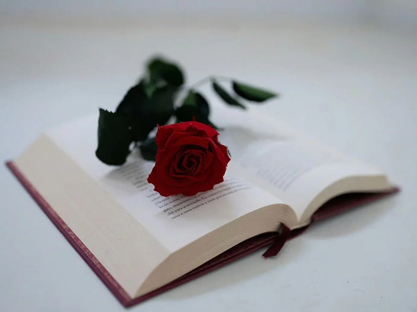Week of the Book