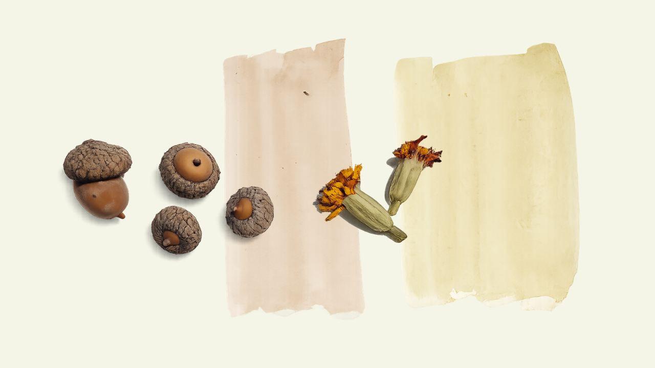 Natural pigments: How to make watercolors from the world around us