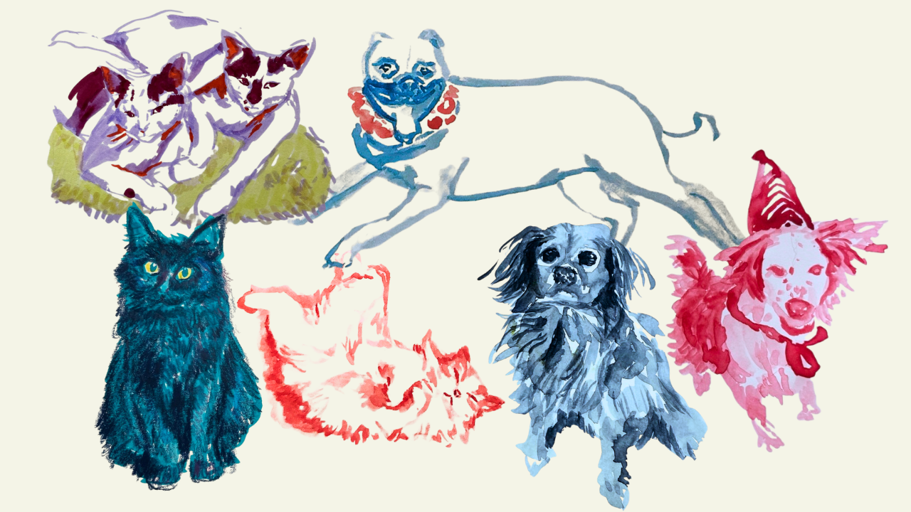 Painting Your Pets (Sold out)