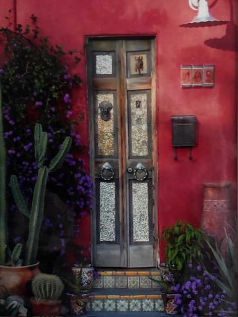 Decorative door with glass panels, surrounded by potted cacti and purple flowers, red wall with mailbox and house number 405
