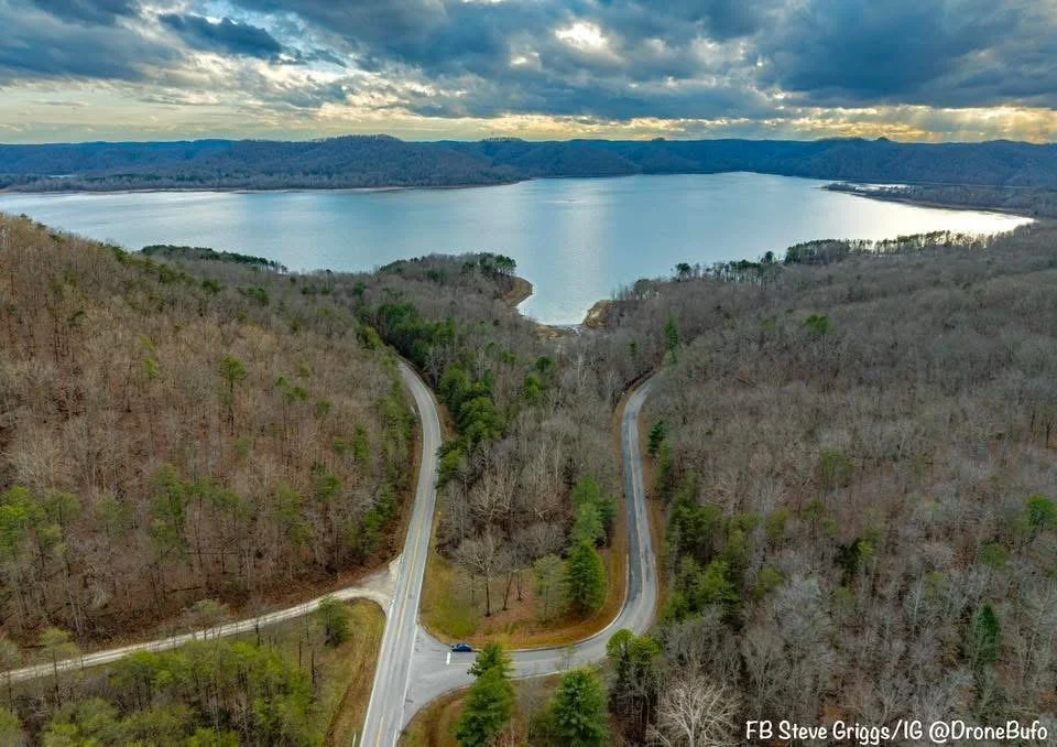 Aerial view of a winding road through a wooded area leading to a large body of water with mountains in the background, under a cloudy sky.