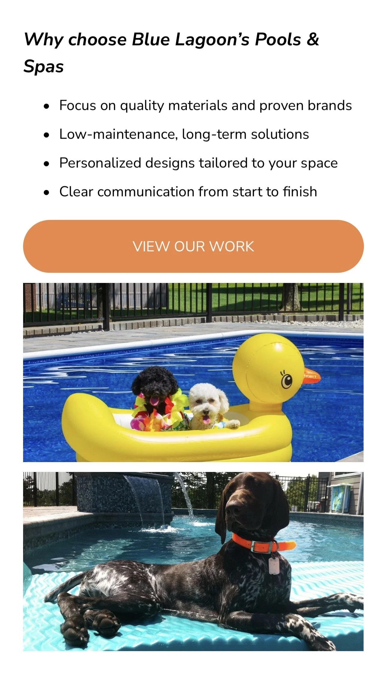 A flyer promoting Blue Lagoon's Pools & Spas featuring photographs of dogs enjoying pools. The flyer highlights quality materials, low-maintenance solutions, personalized designs, and clear communication, with a prominent orange button labeled "View 
