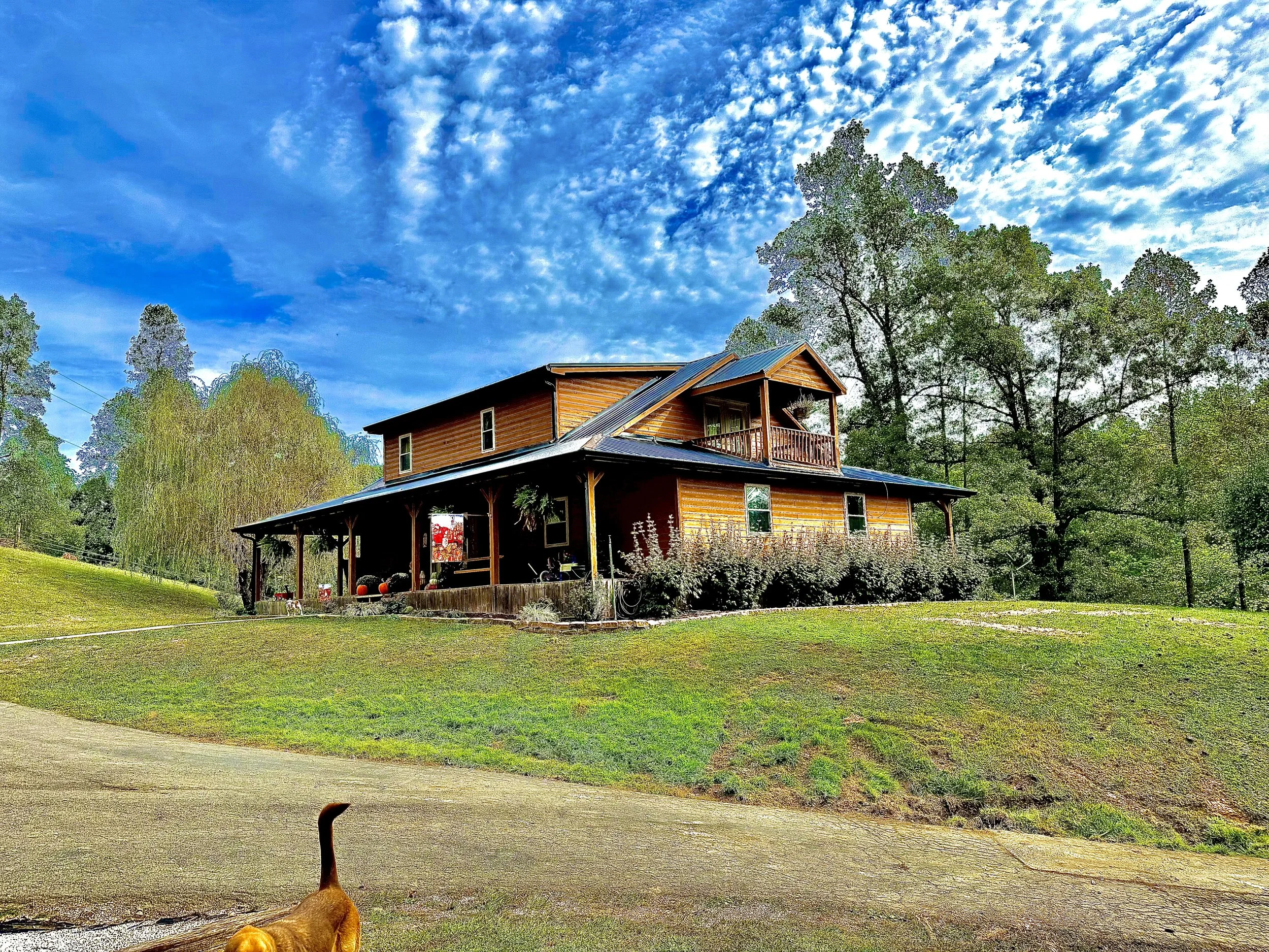 A two-story wooden house with a large porch under a blue sky with scattered clouds, surrounded by trees and a grassy yard, with a dog in the foreground.