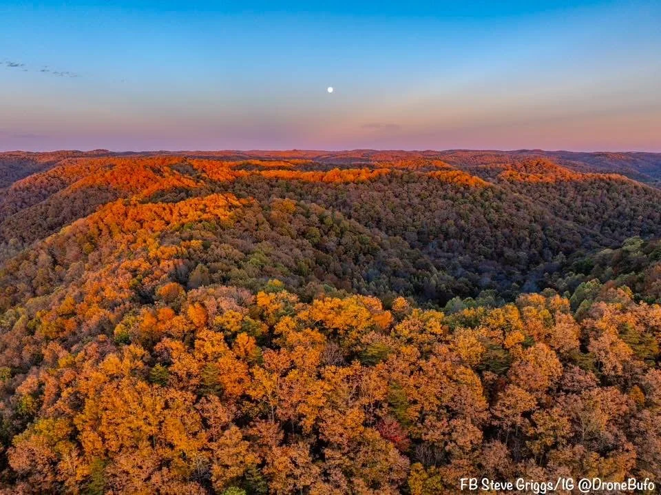 Aerial view of a forested mountain landscape with fall foliage, under a clear sky with the moon visible.