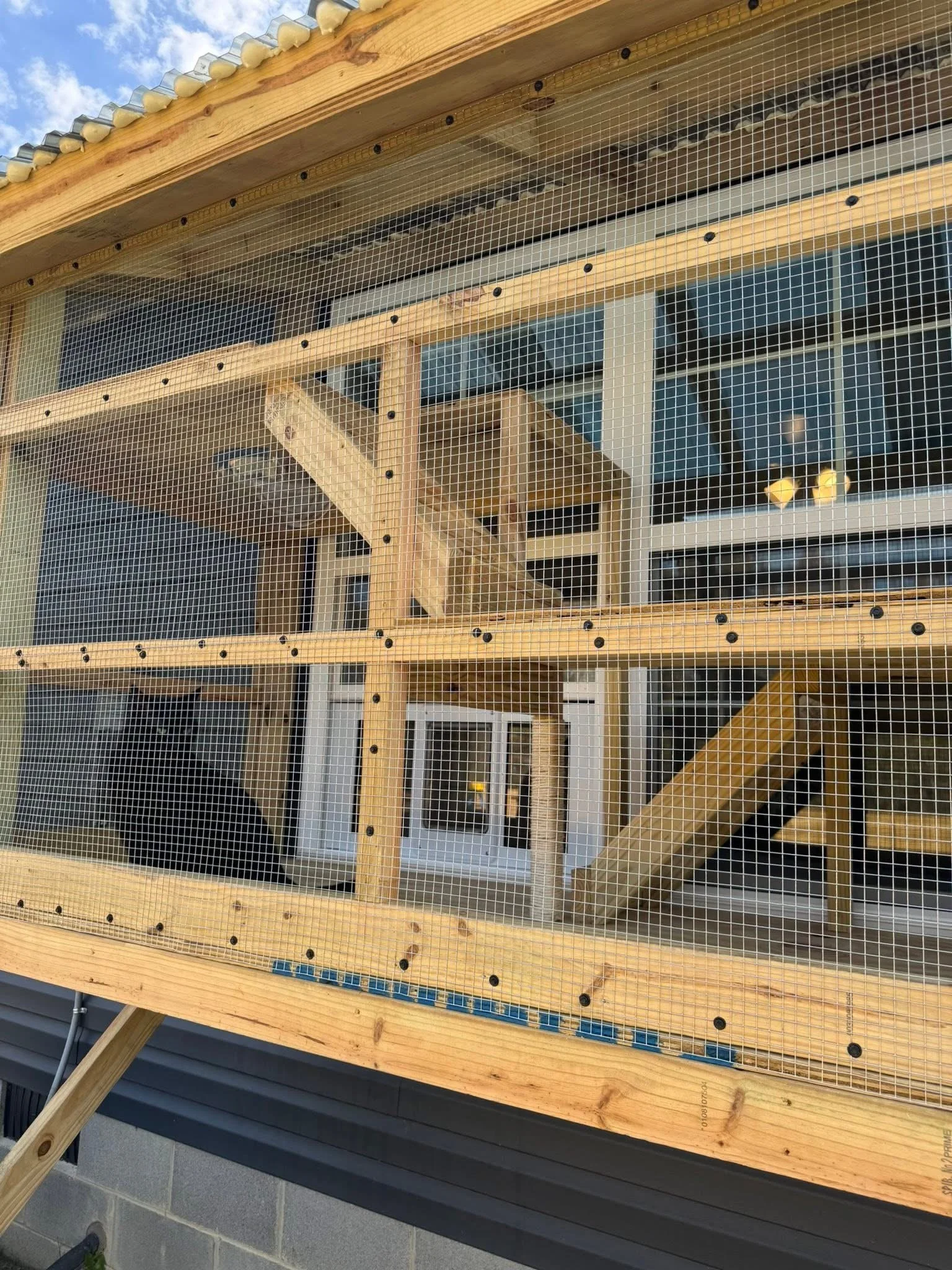 Wooden cat enclosure with multiple levels, ramps, and a wire mesh front, attached to a house. Ison Woodworks