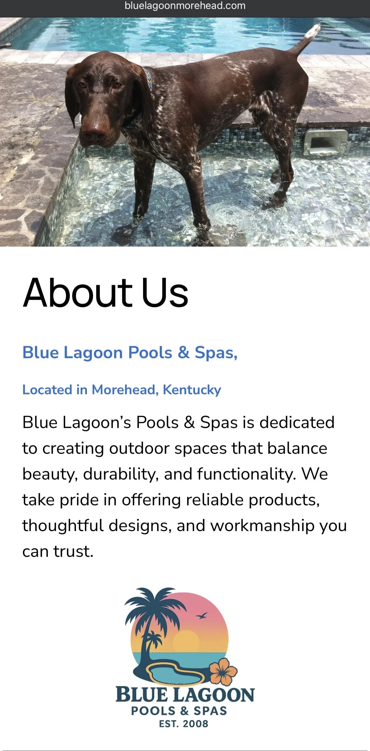 Dog standing in a swimming pool at a poolside in Morehead, Kentucky, with the homepage of Blue Lagoon Pools & Spas, a pool and spa company, displayed below.