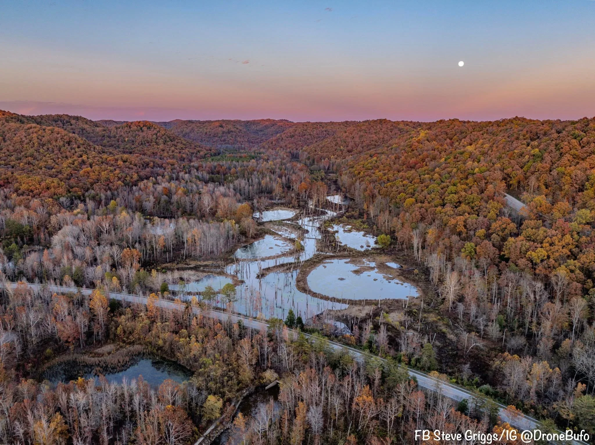 Aerial view of a forested landscape with multiple ponds, a road running through the trees, and a distant horizon with hills and a setting sun or moon.