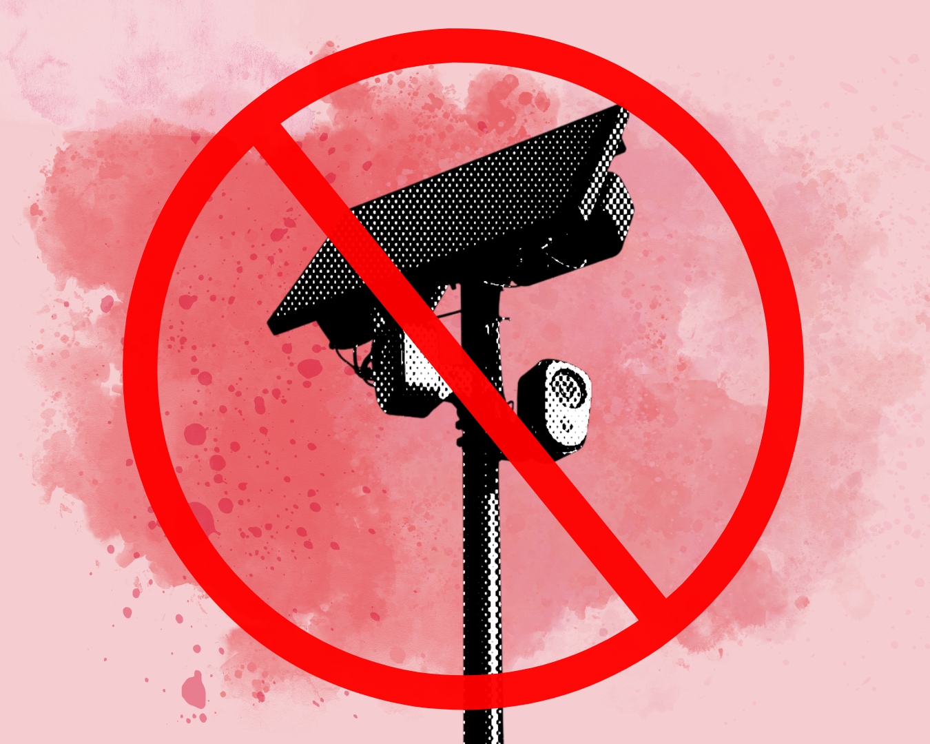 Anti-Flock/Surveillance Presentation w/ SASSI