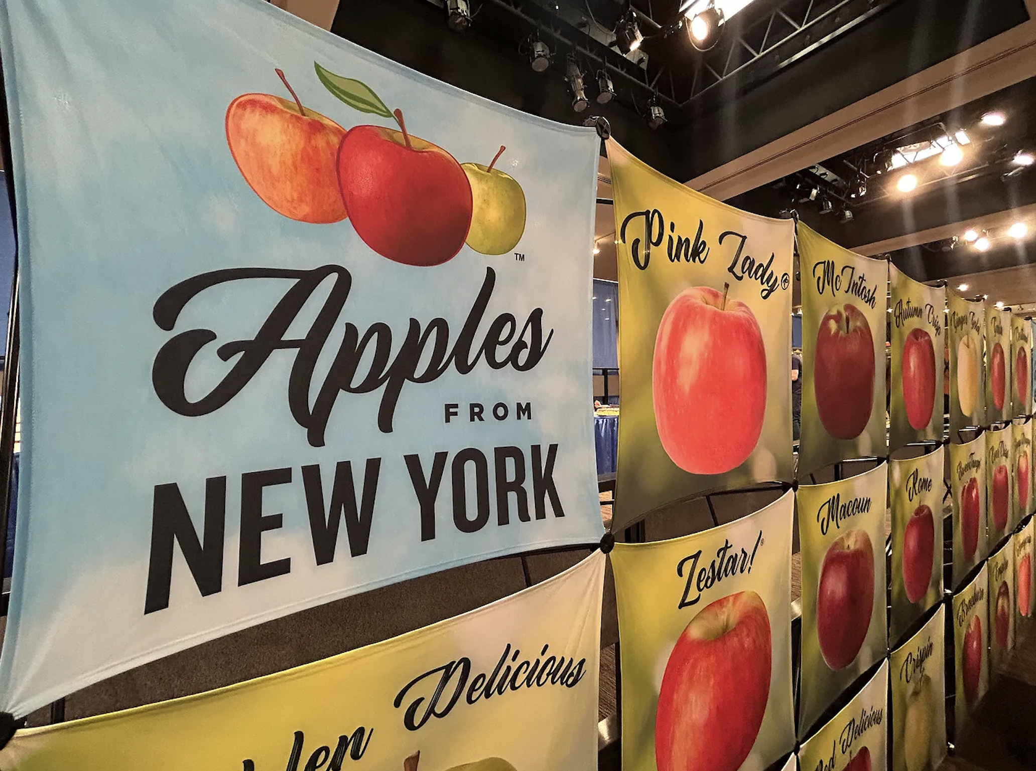 Not All States Are Created Equal