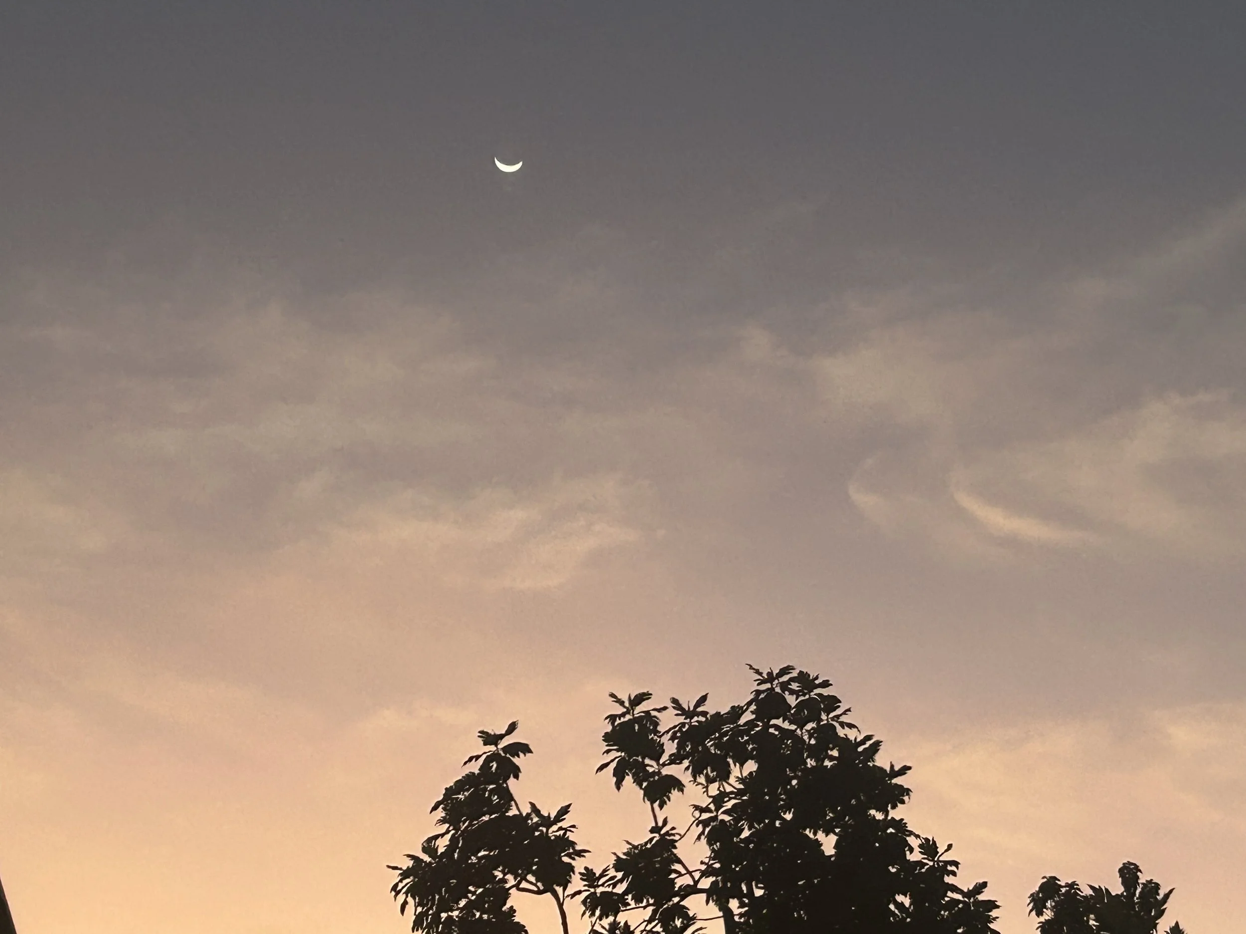 A crescent moon above silhouetted trees at dusk taken by Dee Marshall in Jamaica during a wellbeing session.