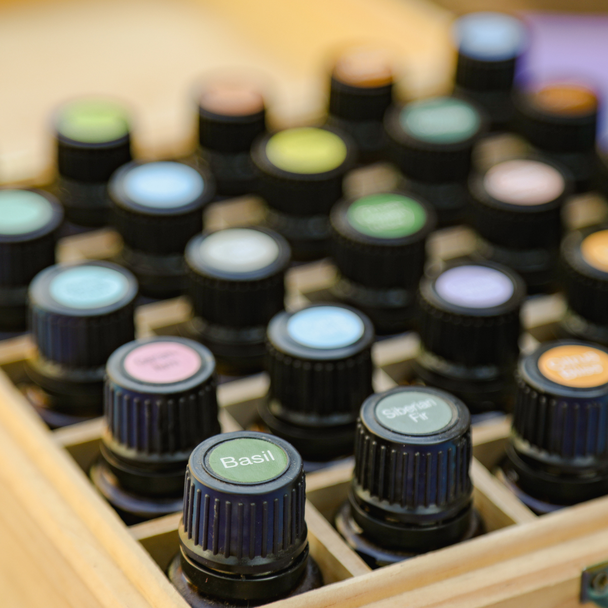 Essential oils used during aromatherapy and wellbeing workshops.