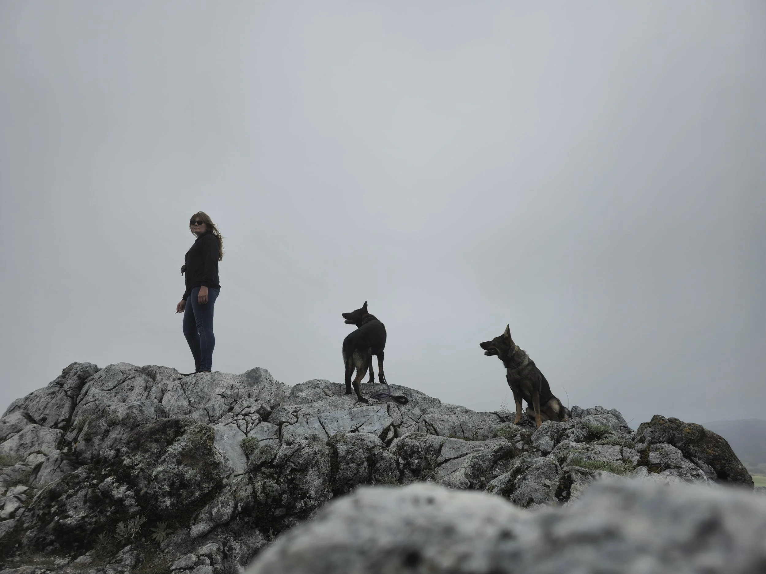 6 Week Advanced Obedience