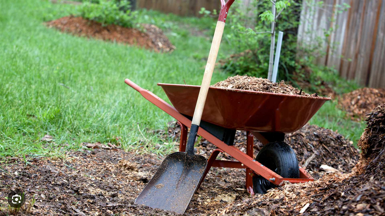 A wheelbarrow filled with dirt, a shovel resting on it, and a gardening fork in the background in a garden yard.