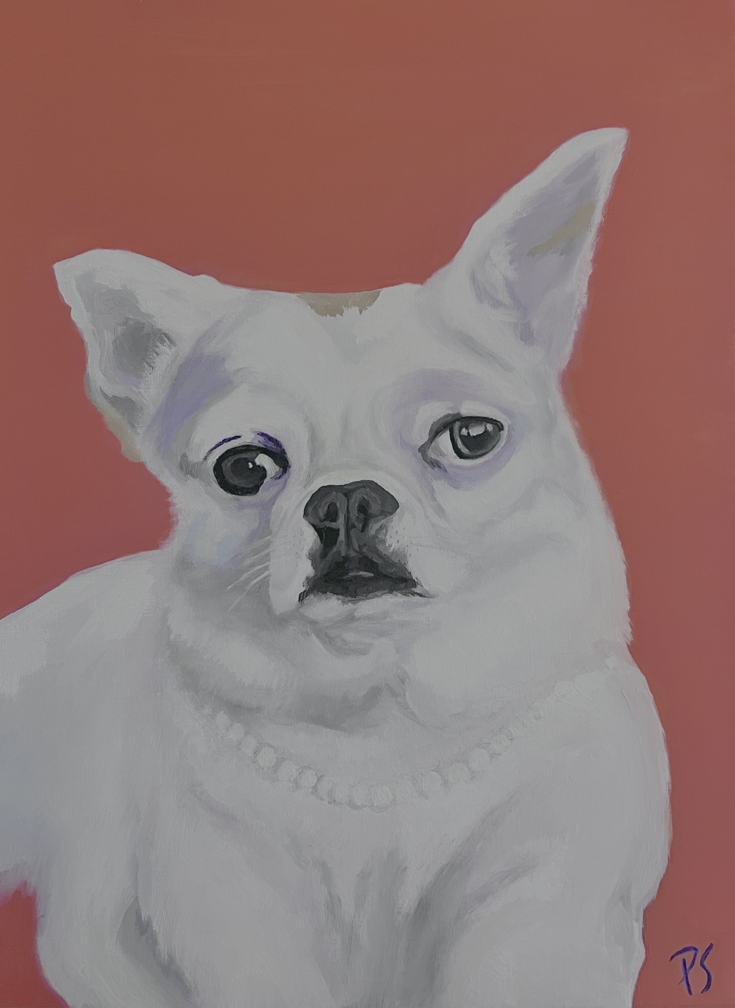 Snack Strikes a Pose (commissioned)