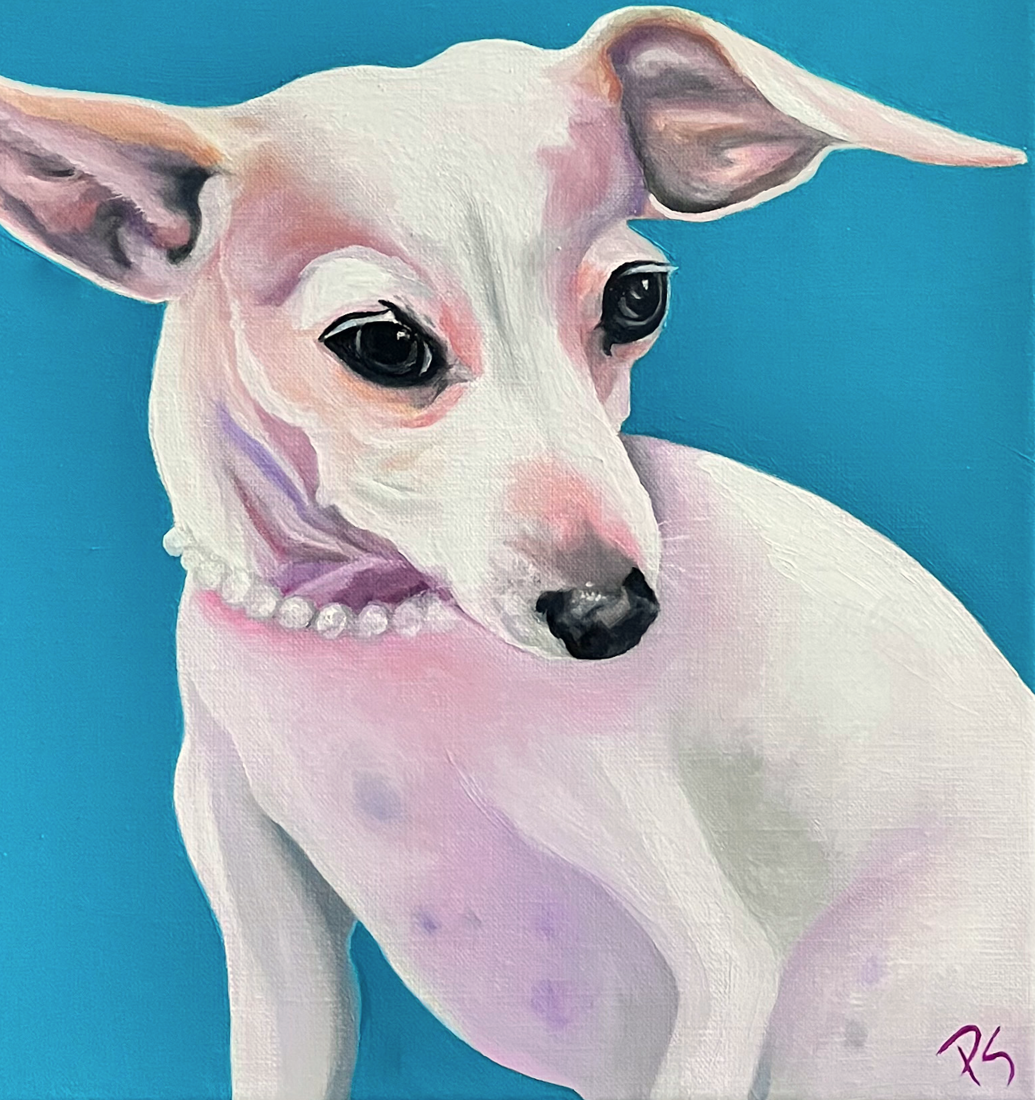 Dog Commission_2026_2_Morsel Square.png