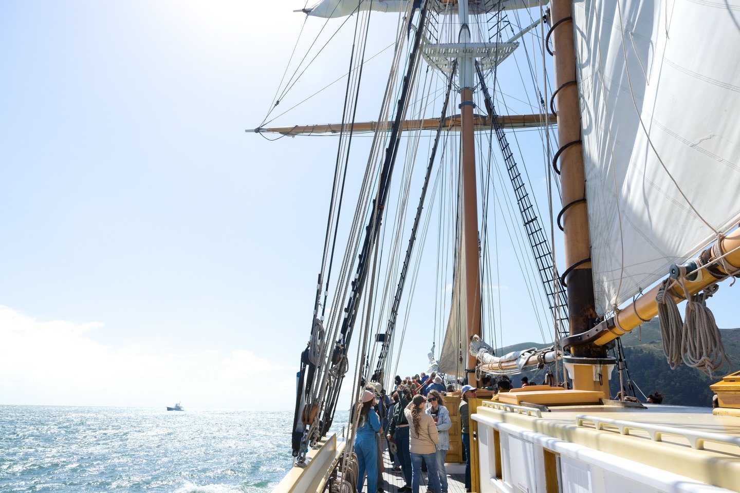 A few weeks ago we set sail @a_new_material_world  for SF climate week @sfclimateweek @callofthesea The Textile X Ocean Connector Sail 🌊 was a community gathering of innovative leaders for the environment to discuss climate issues facing our 🌎 On b
