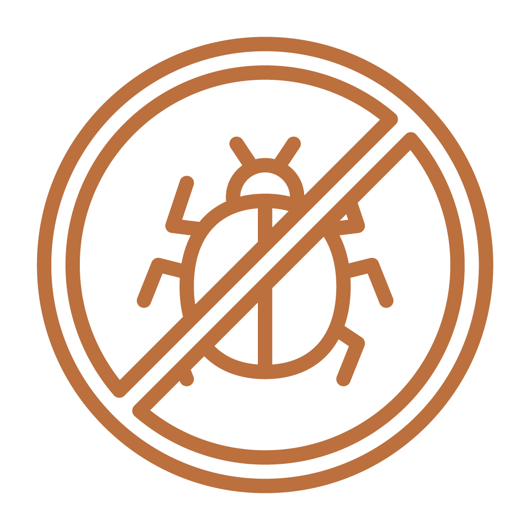 Photo of professional landscape