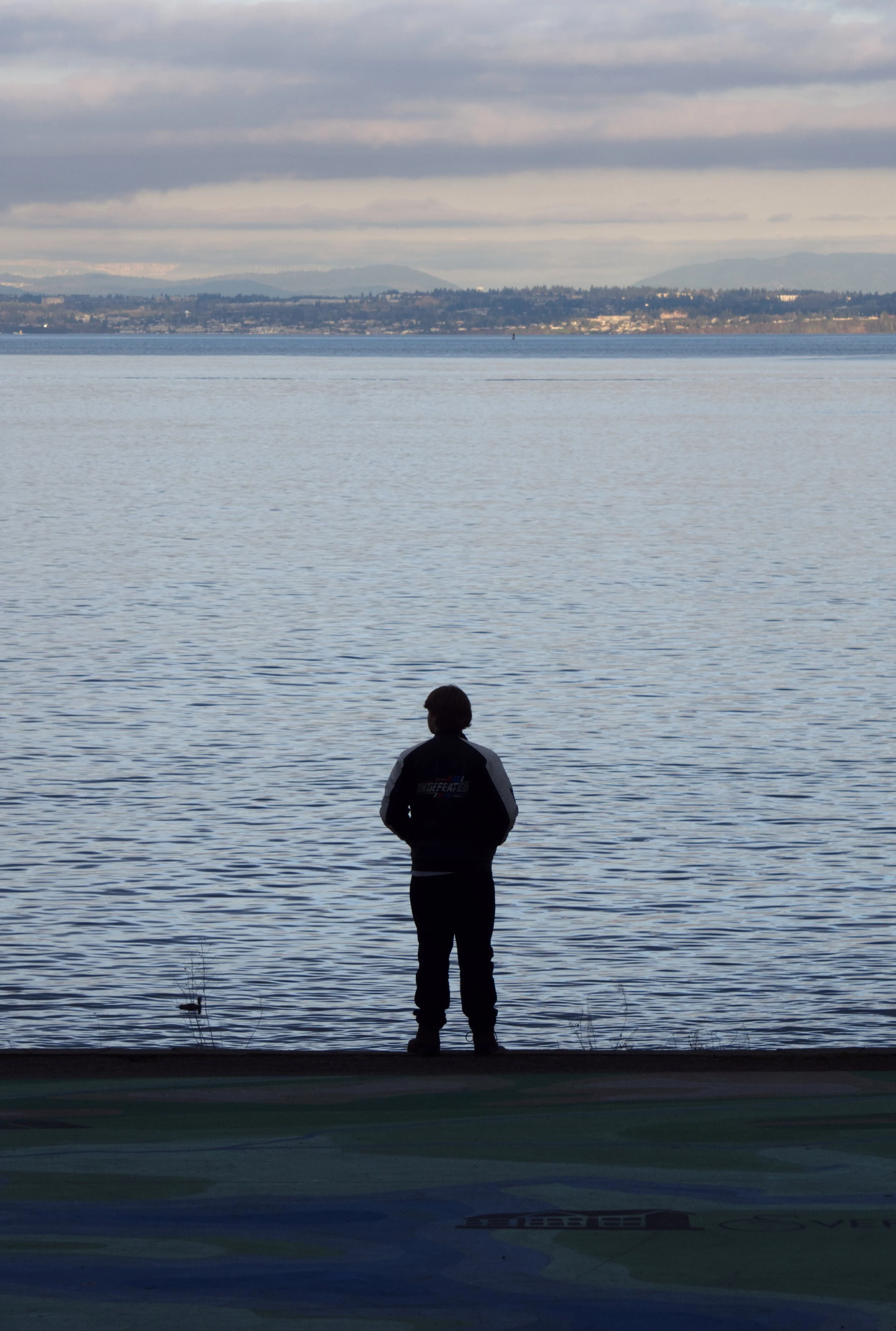 A person standing by a lake, facing the water with mountains and a cloudy sky in the background.