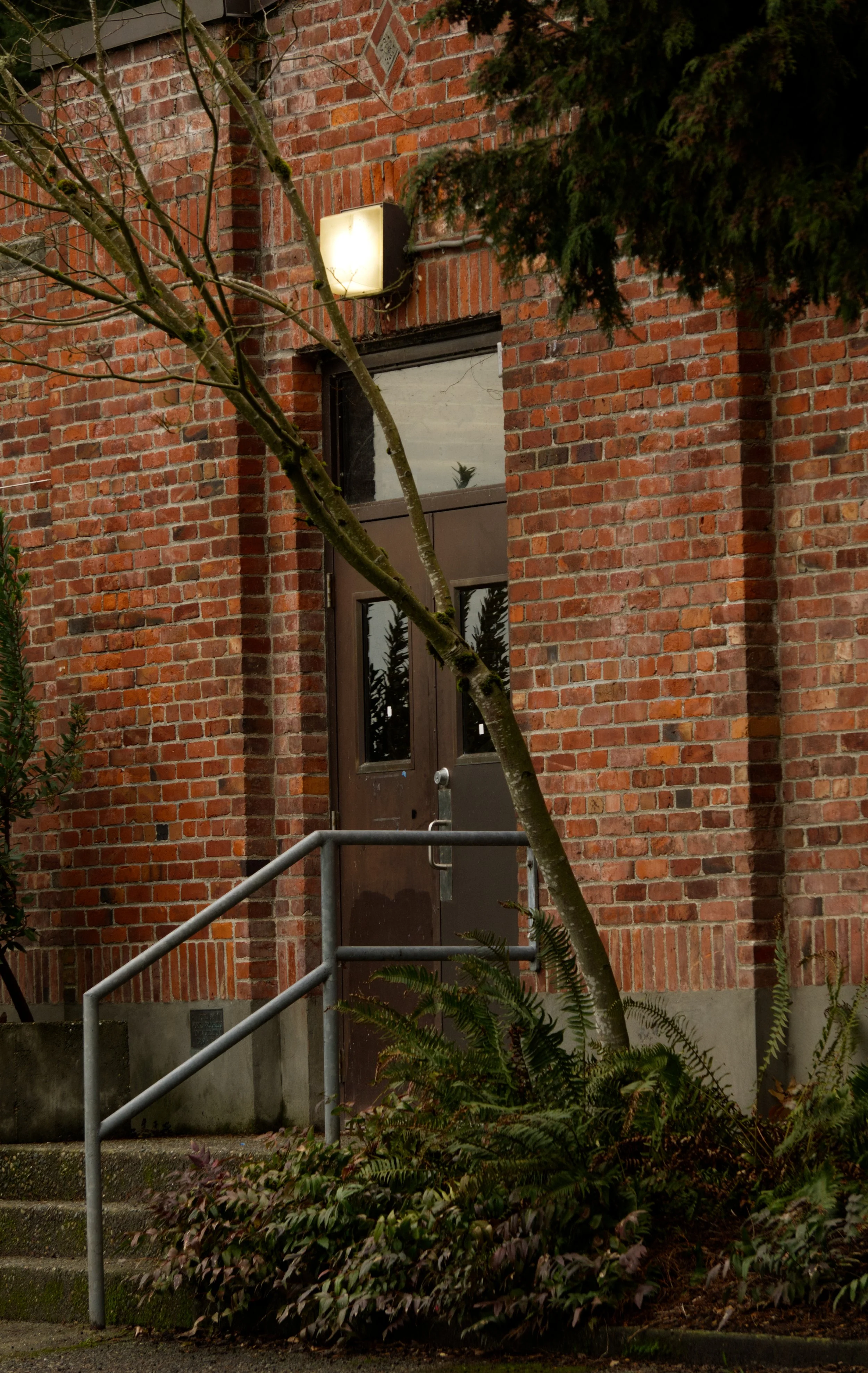 Brick building entrance with a metal door, a small window, outdoor lighting, a staircase with metal railing, a leafless tree branch, and green ferns in the garden.