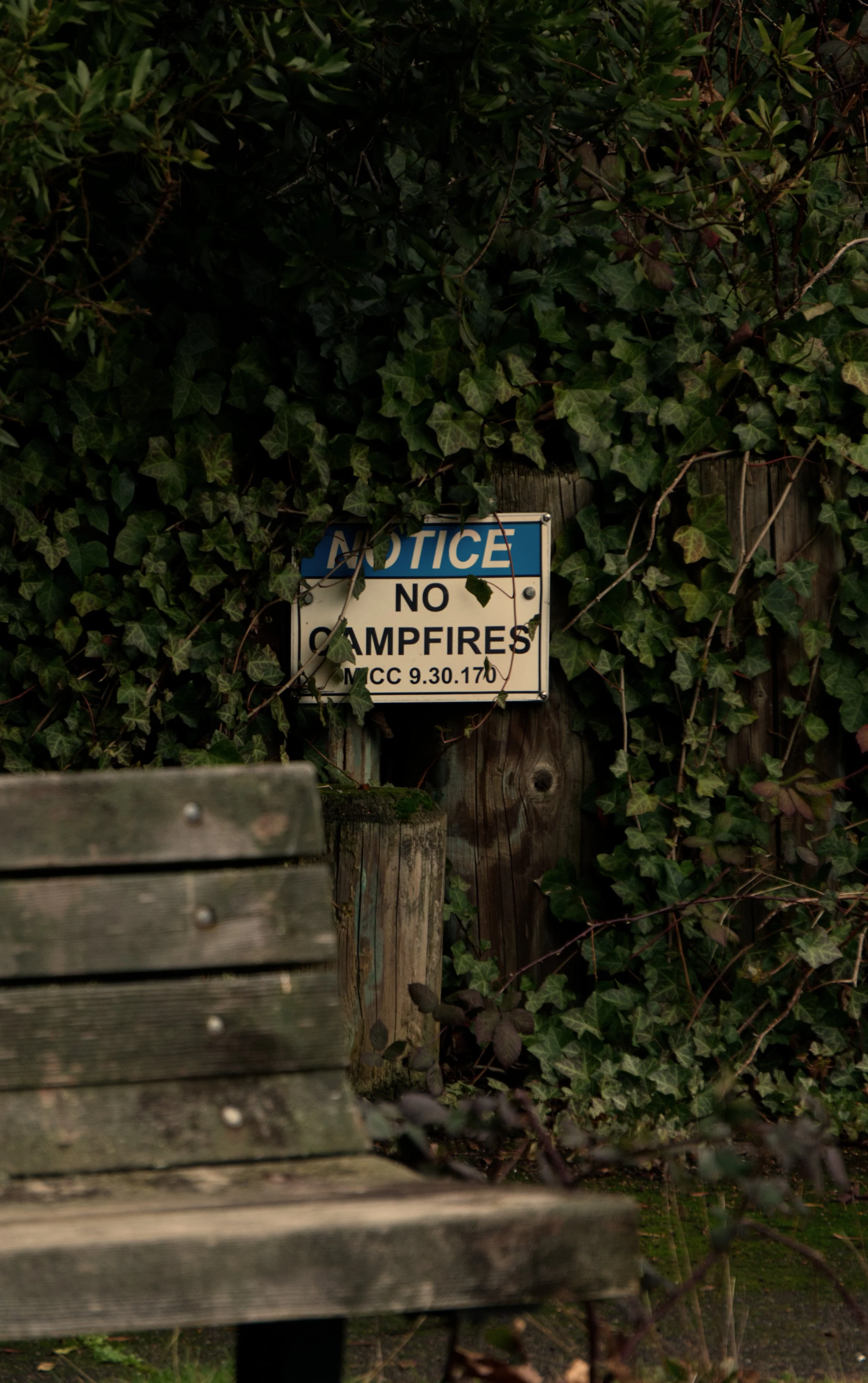 A weathered wooden bench in the foreground with a 'No Campfires' notice sign attached to a wooden post covered in ivy and surrounded by greenery.