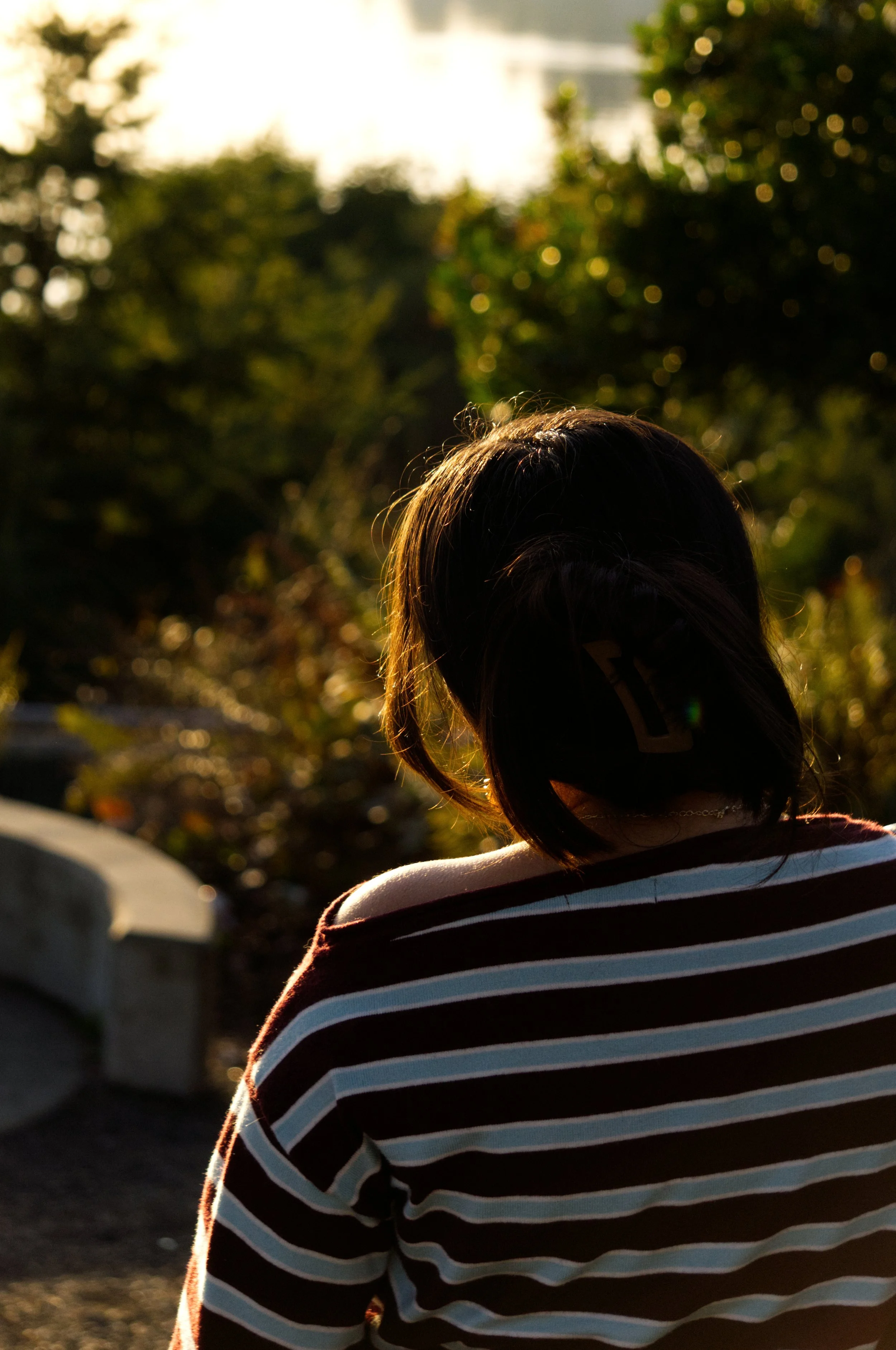 Portraits, Cars and Ducks!