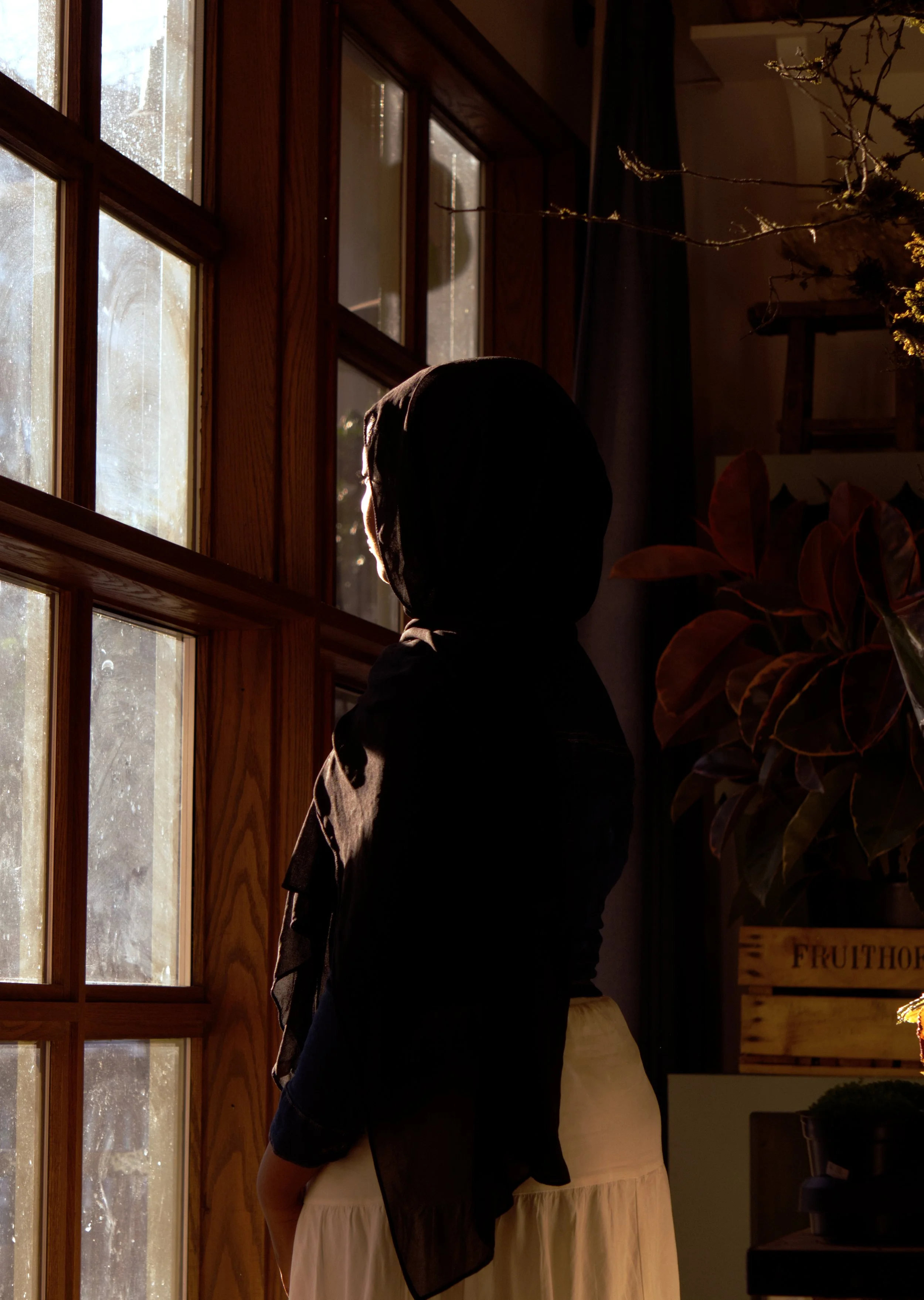 Person with hooded jacket standing by a window, backlit by sunlight, indoors near plants.