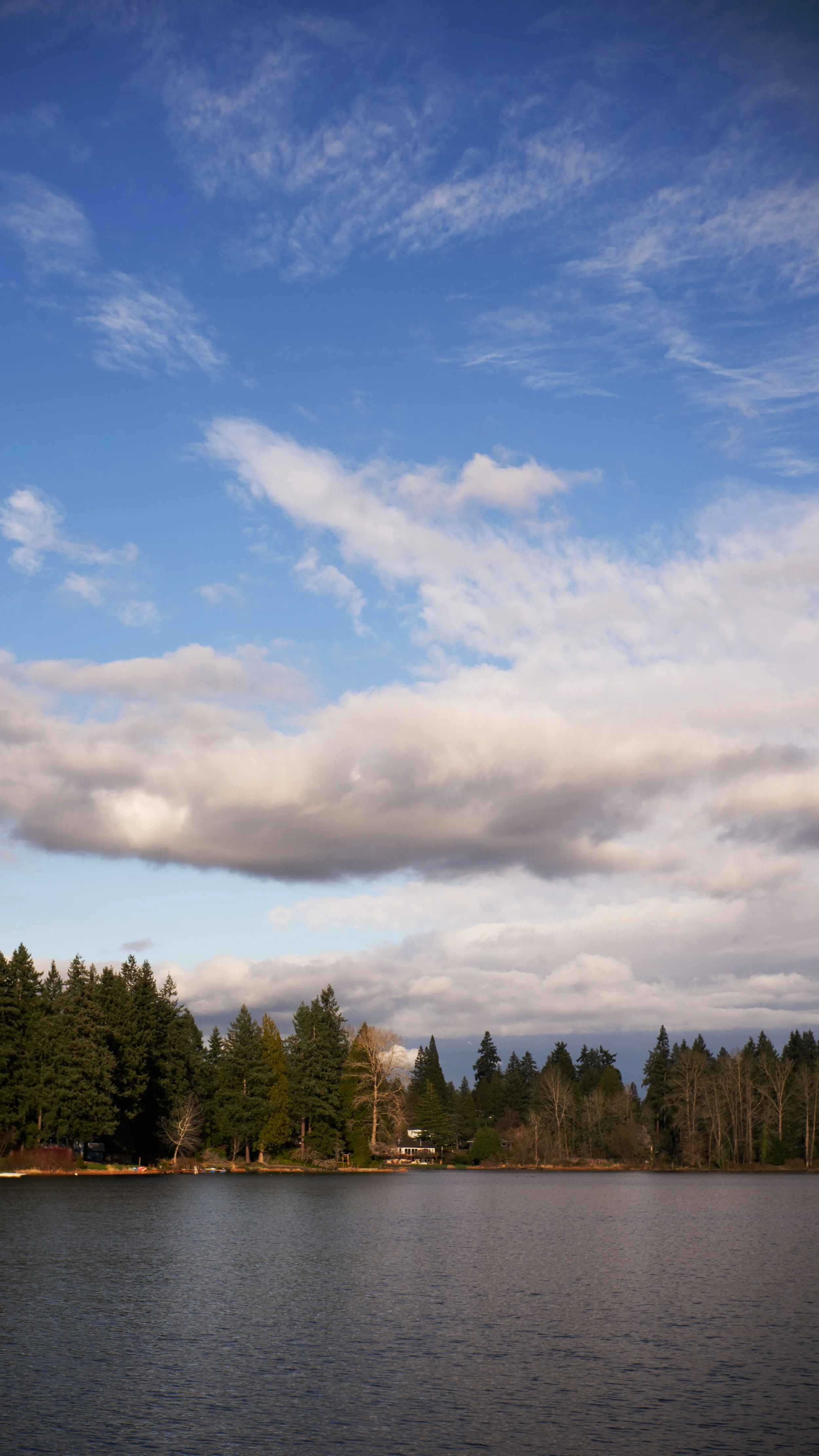 35mm Experiment in Bellevue