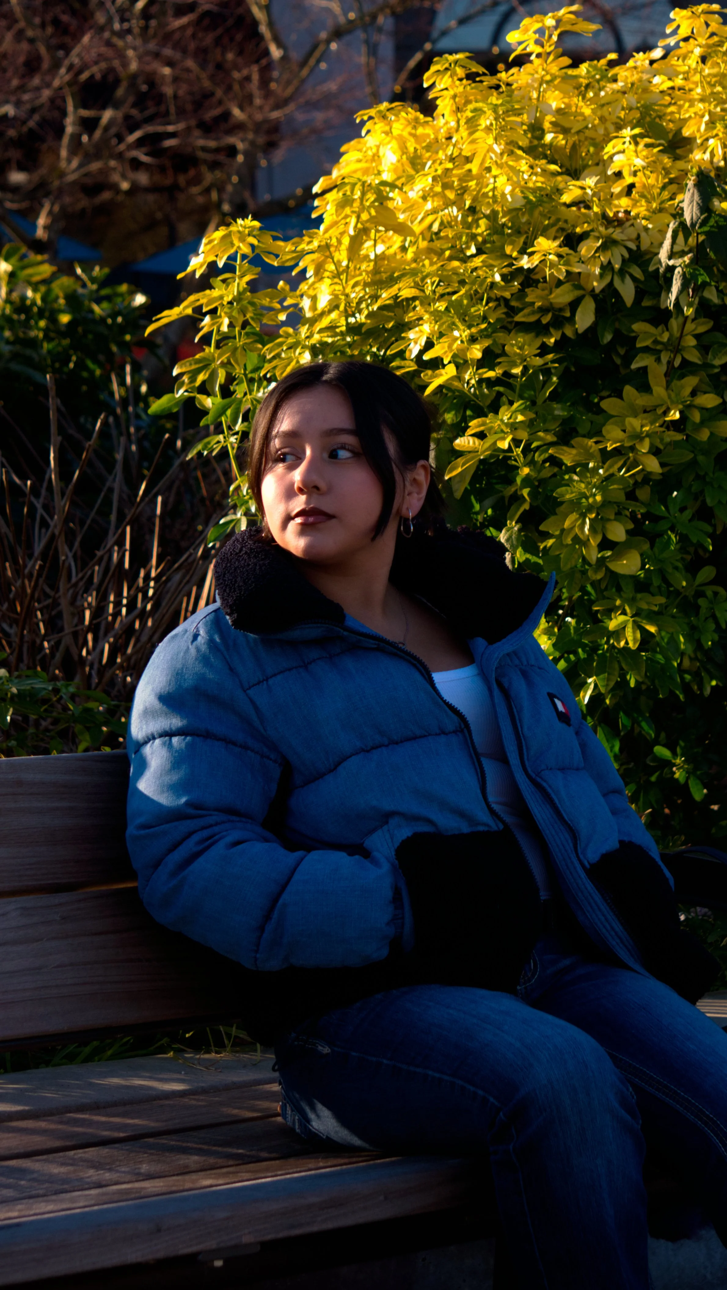 A young woman with dark hair sitting on a wooden bench outdoors during late afternoon or early evening, wearing a blue jacket and black gloves, with green and yellow foliage behind her.