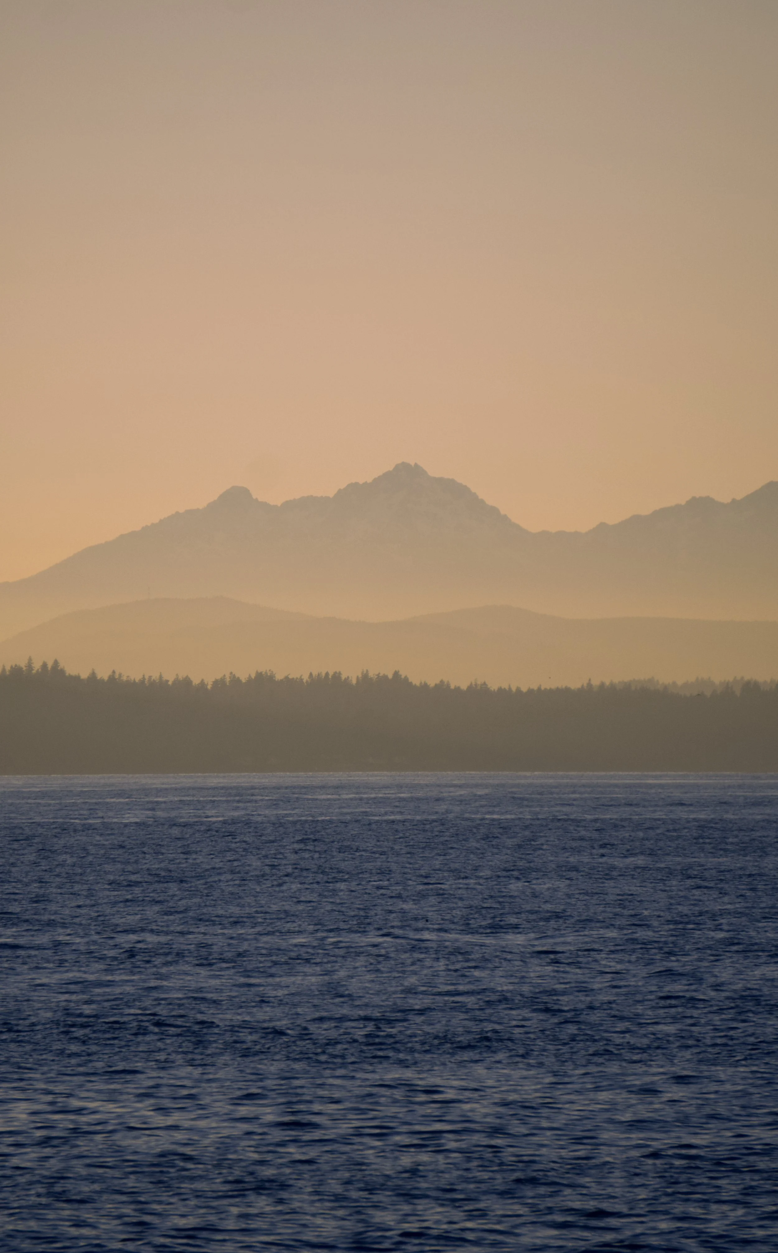 A landscape showing a large body of water in the foreground, with a strip of trees and mountains in the distance under a soft-colored sky at sunset or sunrise.