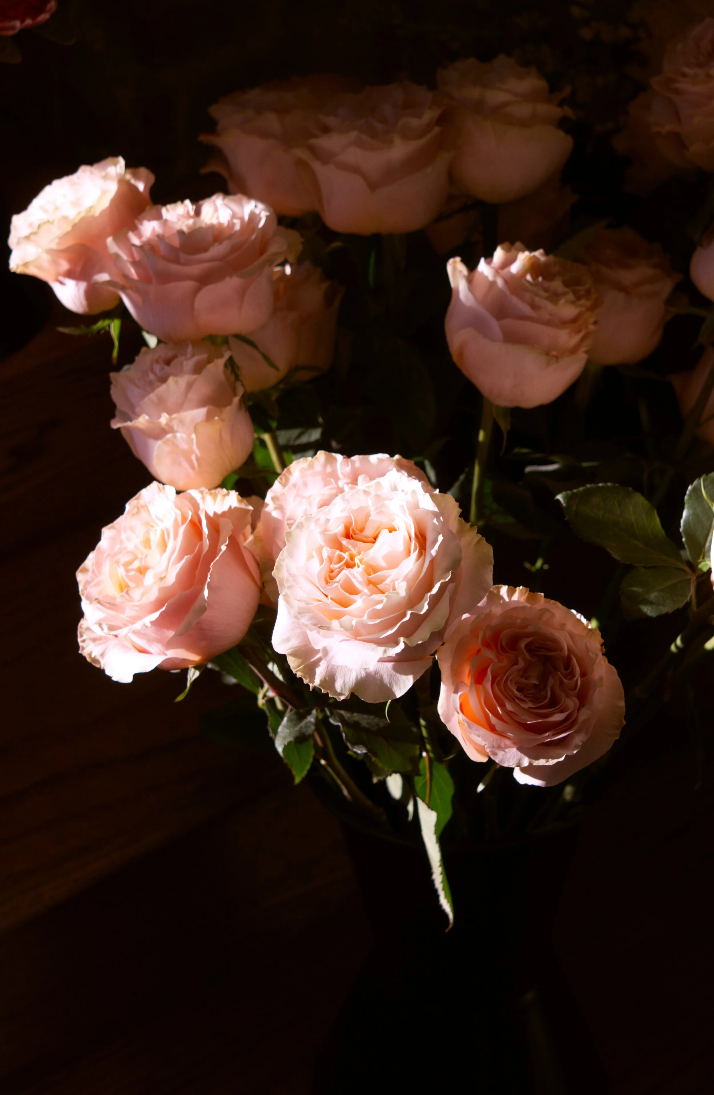 Pink Rose Digital Download