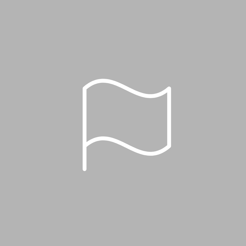 A gray placeholder image with a white empty flag icon.