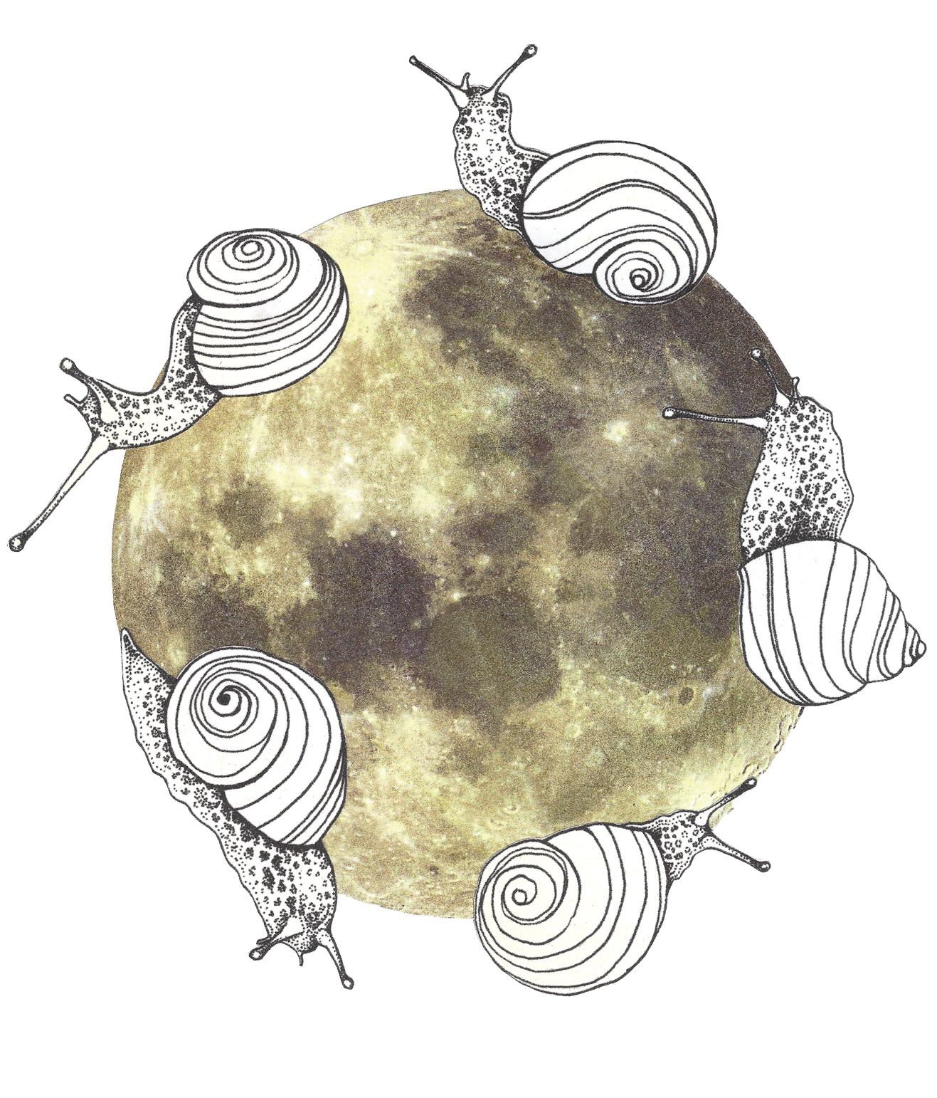 SPRING SNAIL MAIL PACKAGE