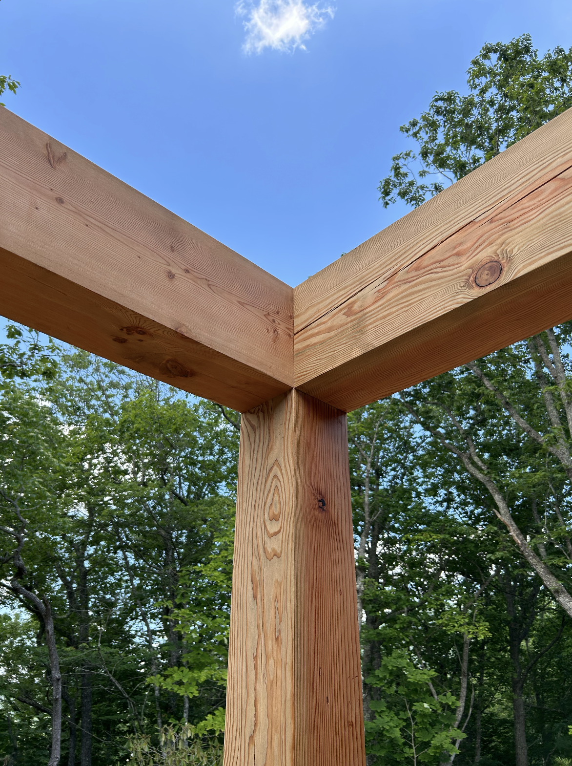 Screenshot 2026-02-01 at 11.20.15 AM.png