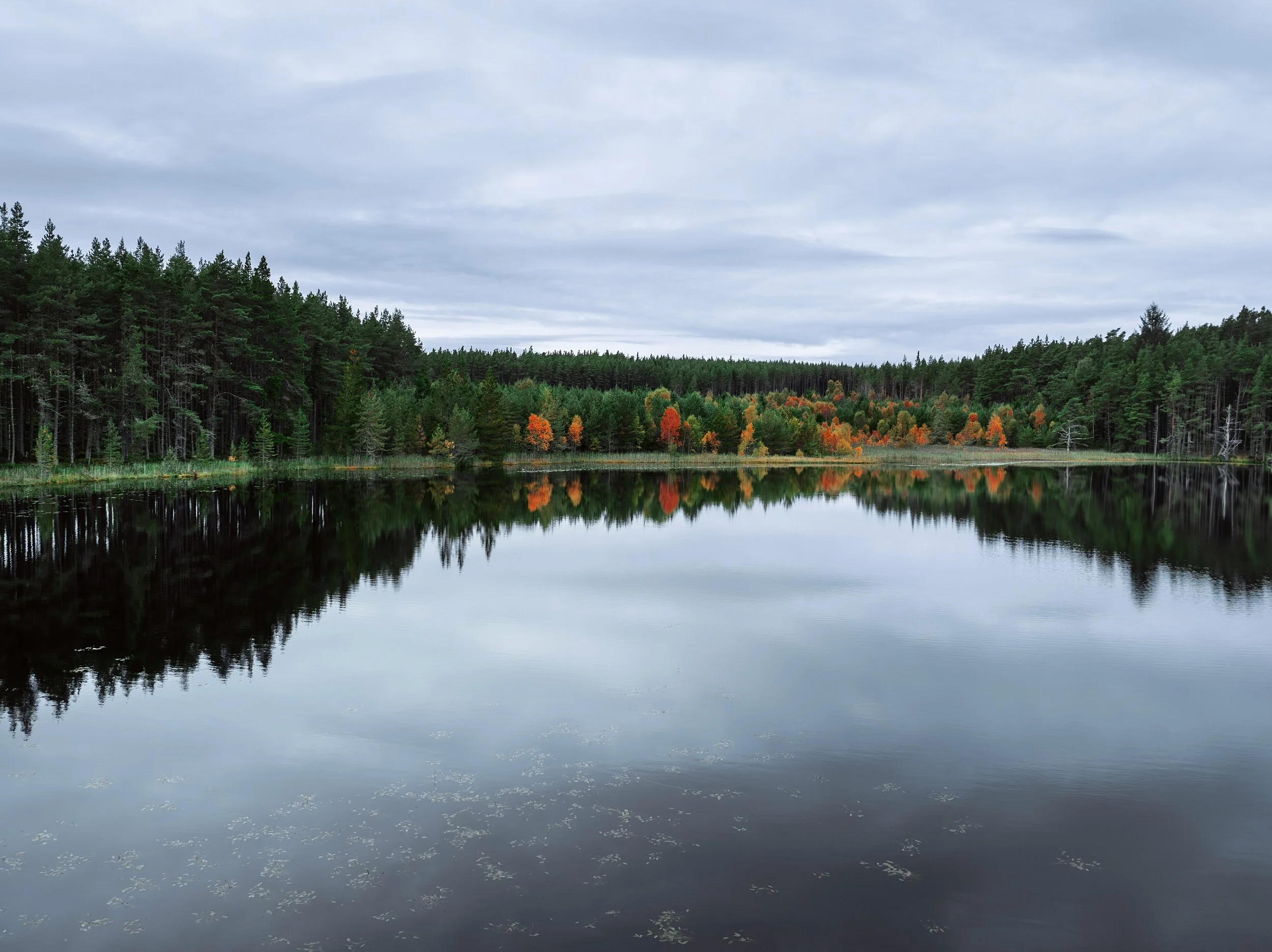 books i read in january