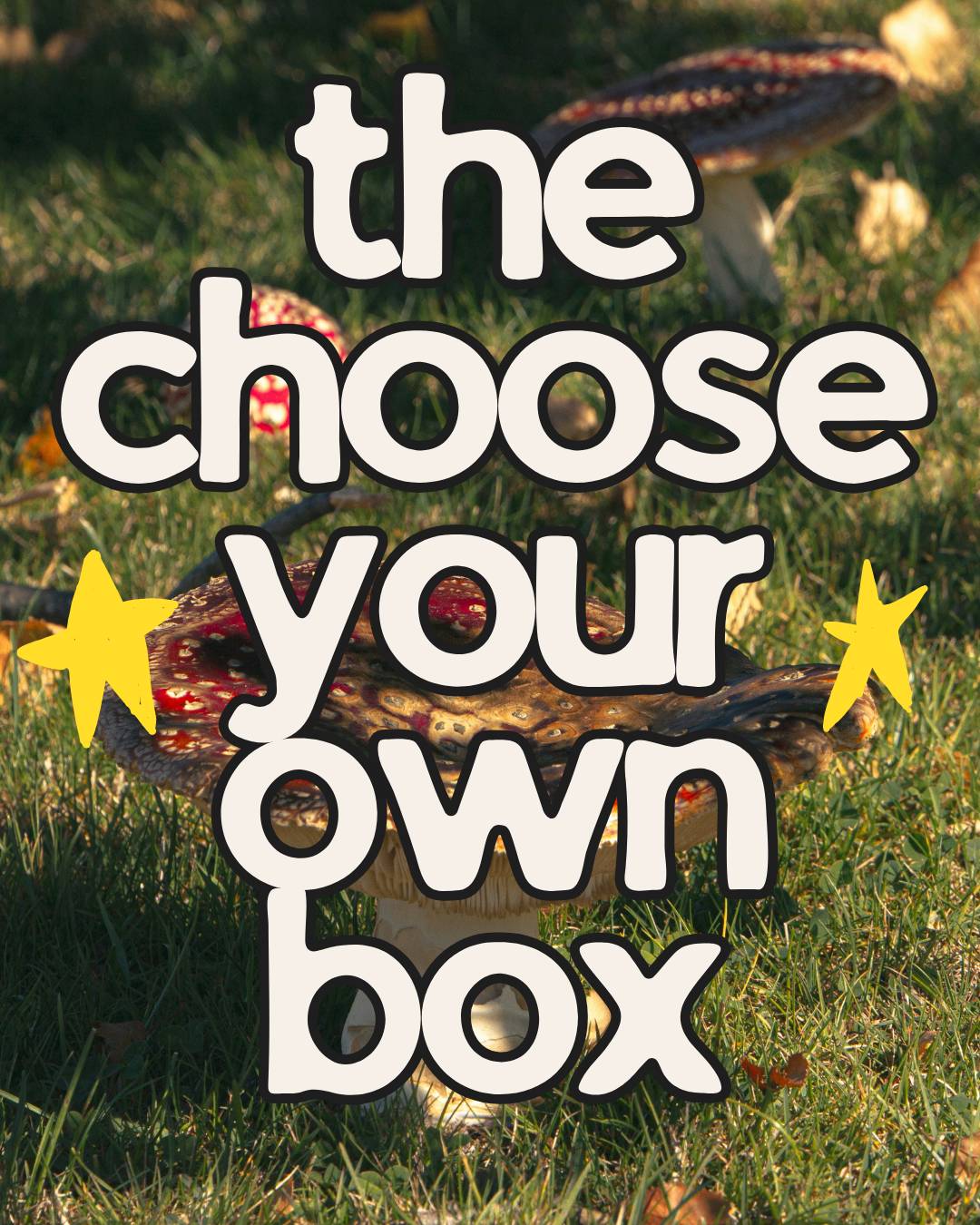 Choose-Your-Own Book Box
